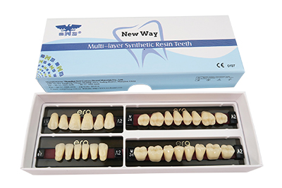 Three Layer Acrylic Resin Teeth - R101