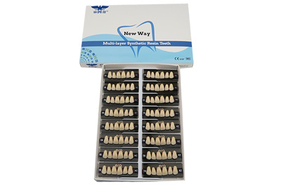 Three Layer Acrylic Resin Teeth - R103