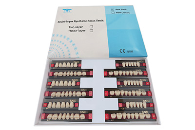 Two Layer Acrylic Resin Teeth - R201