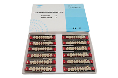 Two Layer Acrylic Resin Teeth - R202
