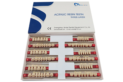 Synthetic Resin Teeth Three Layer - SA31