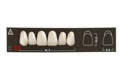 Three layer Synthetic Resin Teeth - SCS