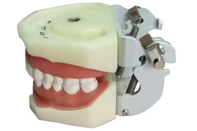 Oral X-Ray Model - TM-G12