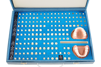 Teeth Preparation - TM-G14